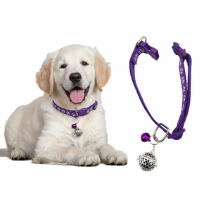 애완용 목줄세트-실버 크라운